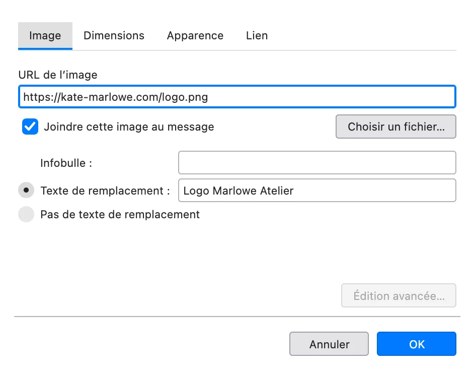 Fenêtre d'image de Thunderbird avec l'URL de l'image, le texte alternatif et la case « Joindre cette image au message » cochée